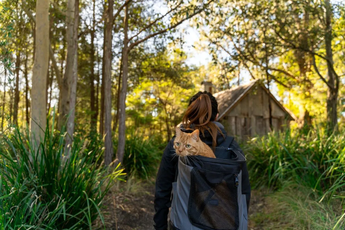 Backpack Cat Carrier