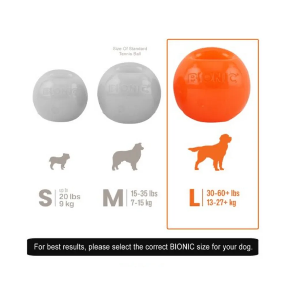 Bionic Ball Dog Toy