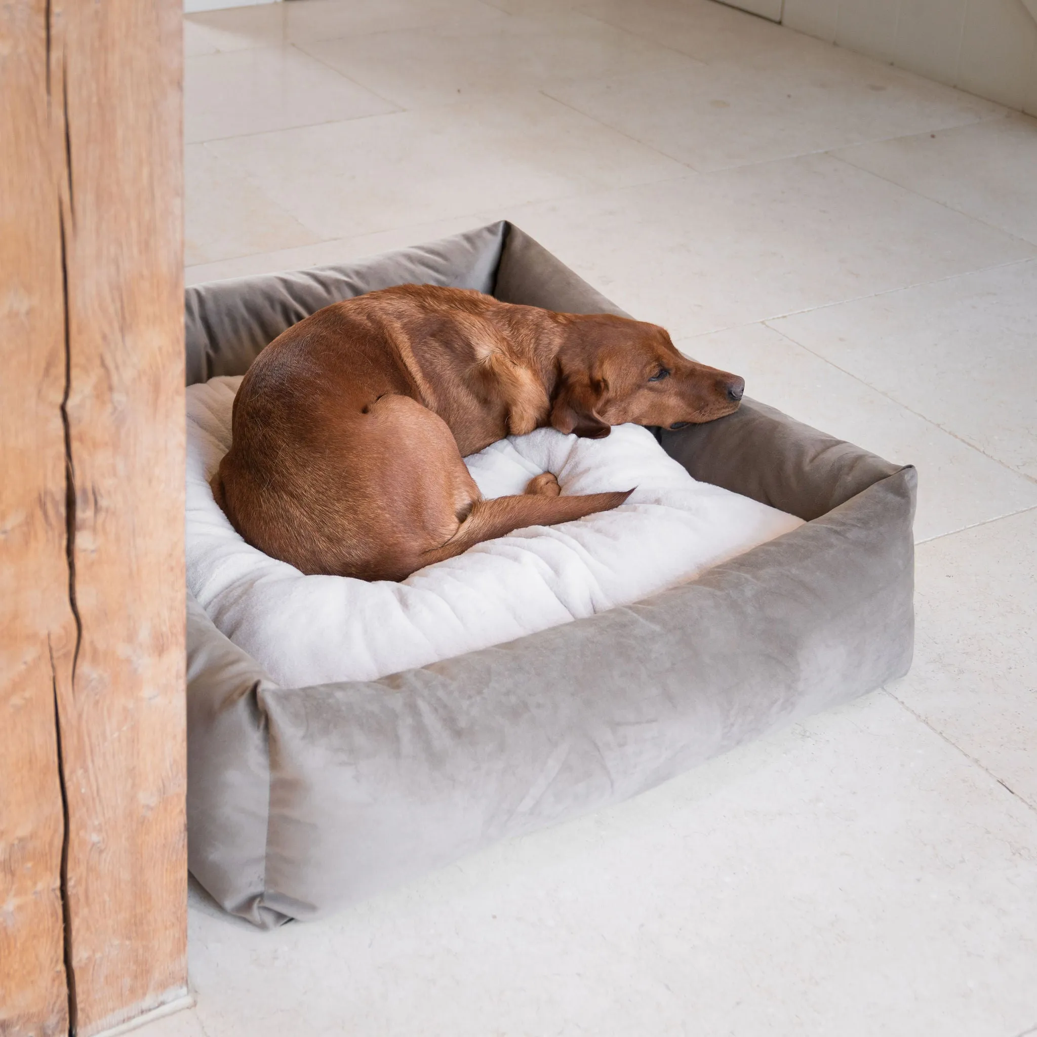 Box Bed In Clay Velvet by Lords & Labradors