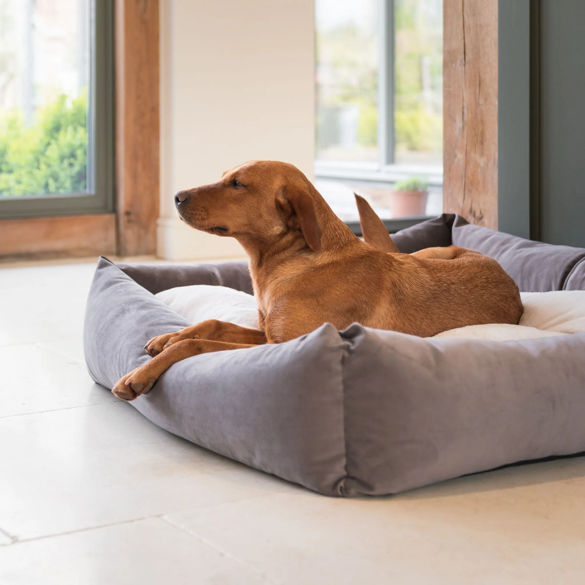 Box Bed In Silt Velvet by Lords & Labradors