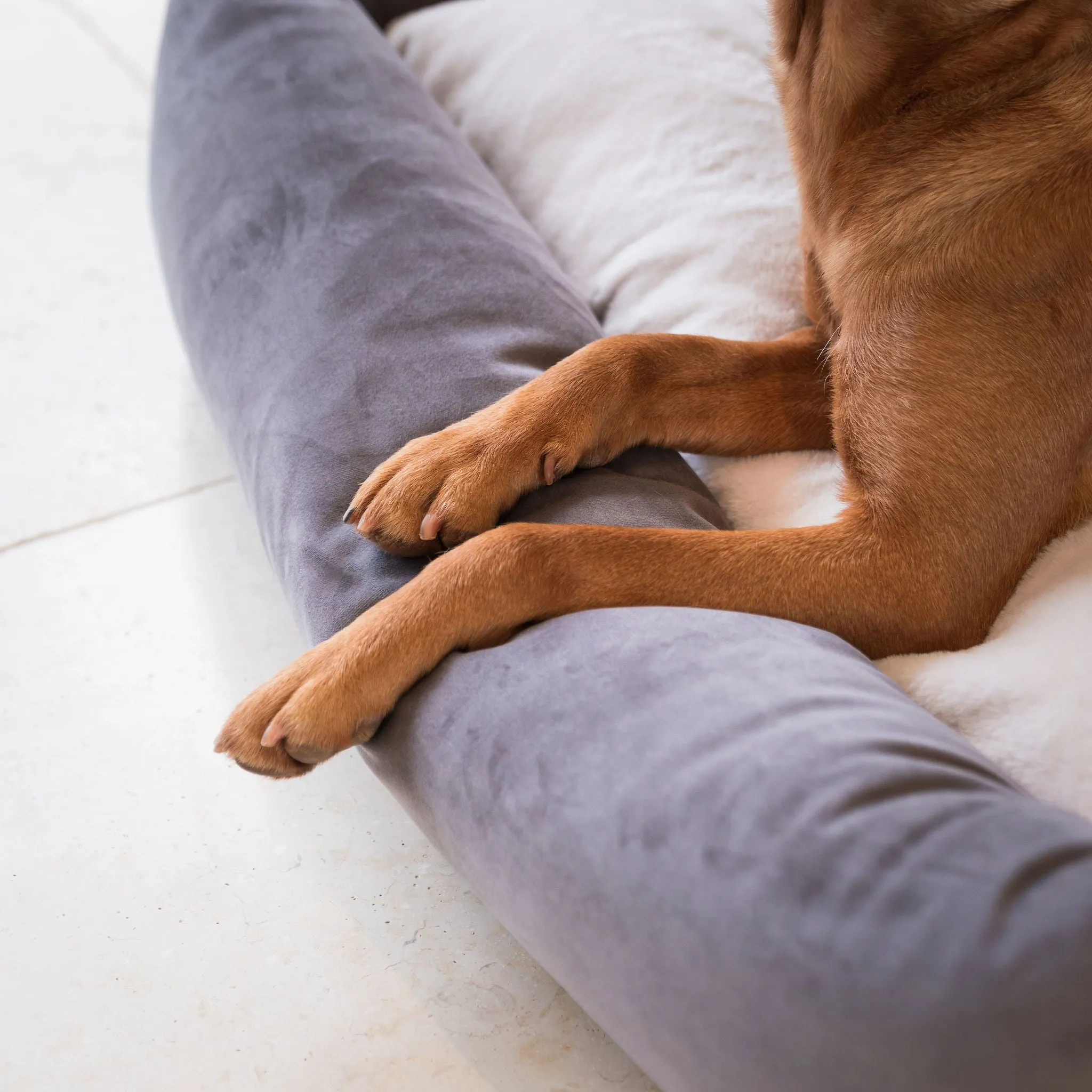 Box Bed In Silt Velvet by Lords & Labradors