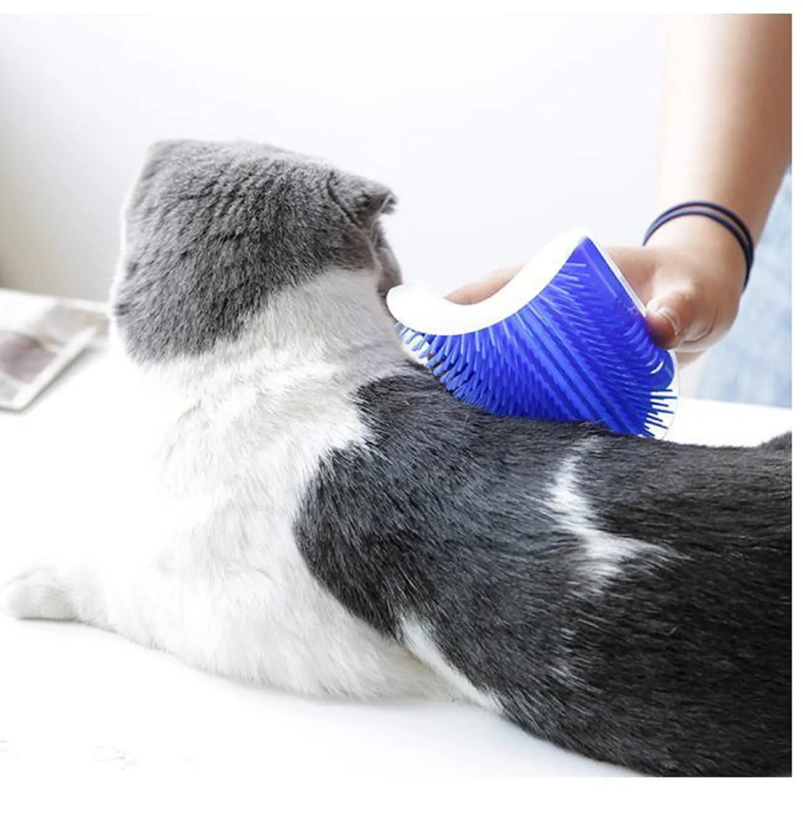 Cat Self Groomer Brush, Wall Corner Scratcher Blue, 70g