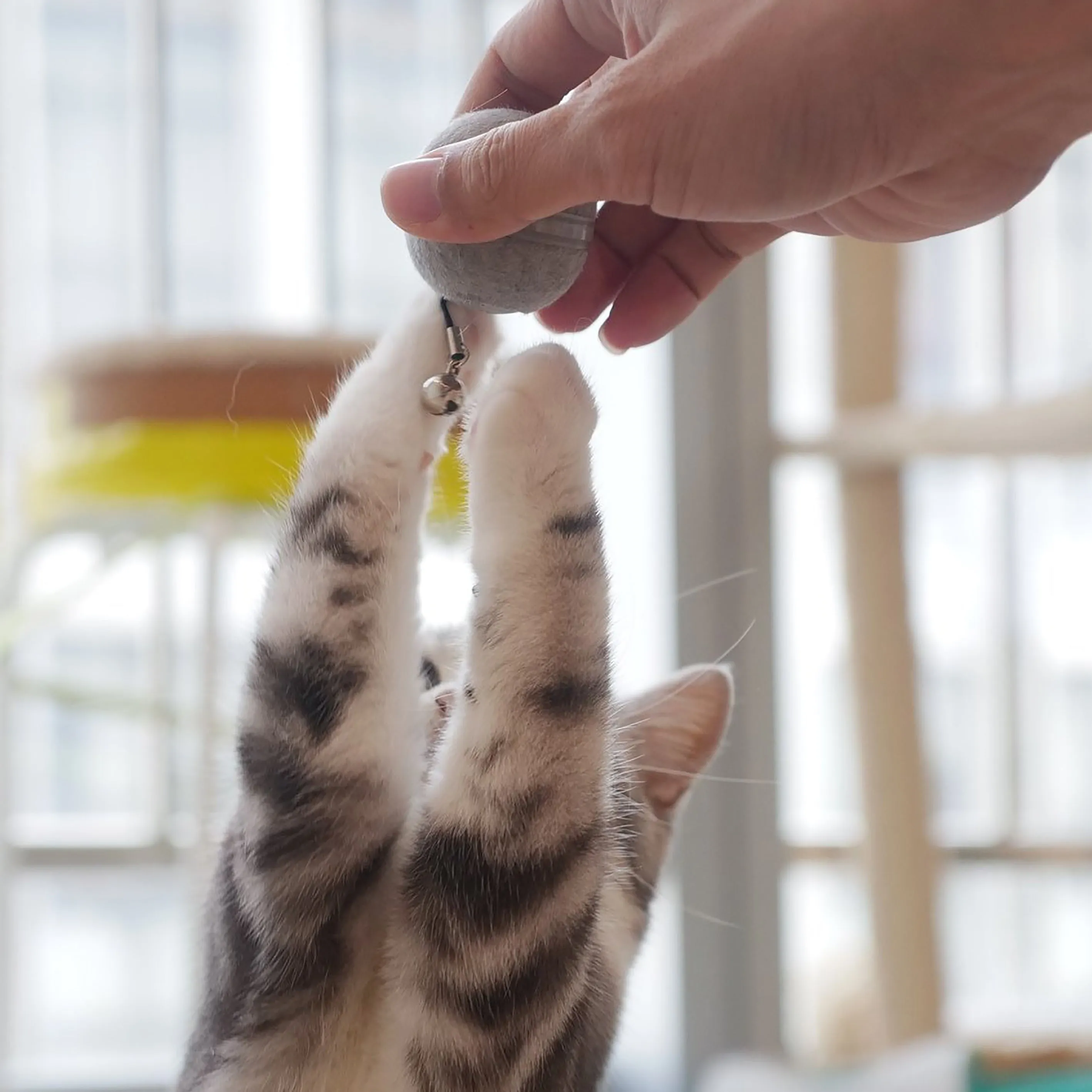 Cheerble M1 Mini Cat Ball Toy Grey