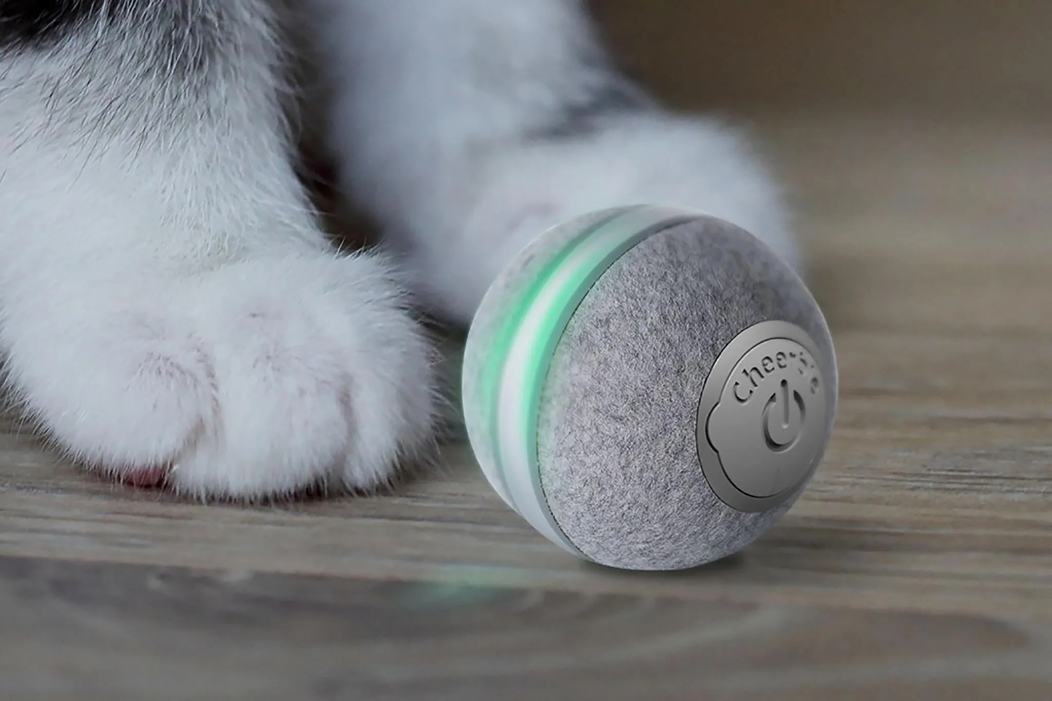 Cheerble M1 Mini Cat Ball Toy Grey
