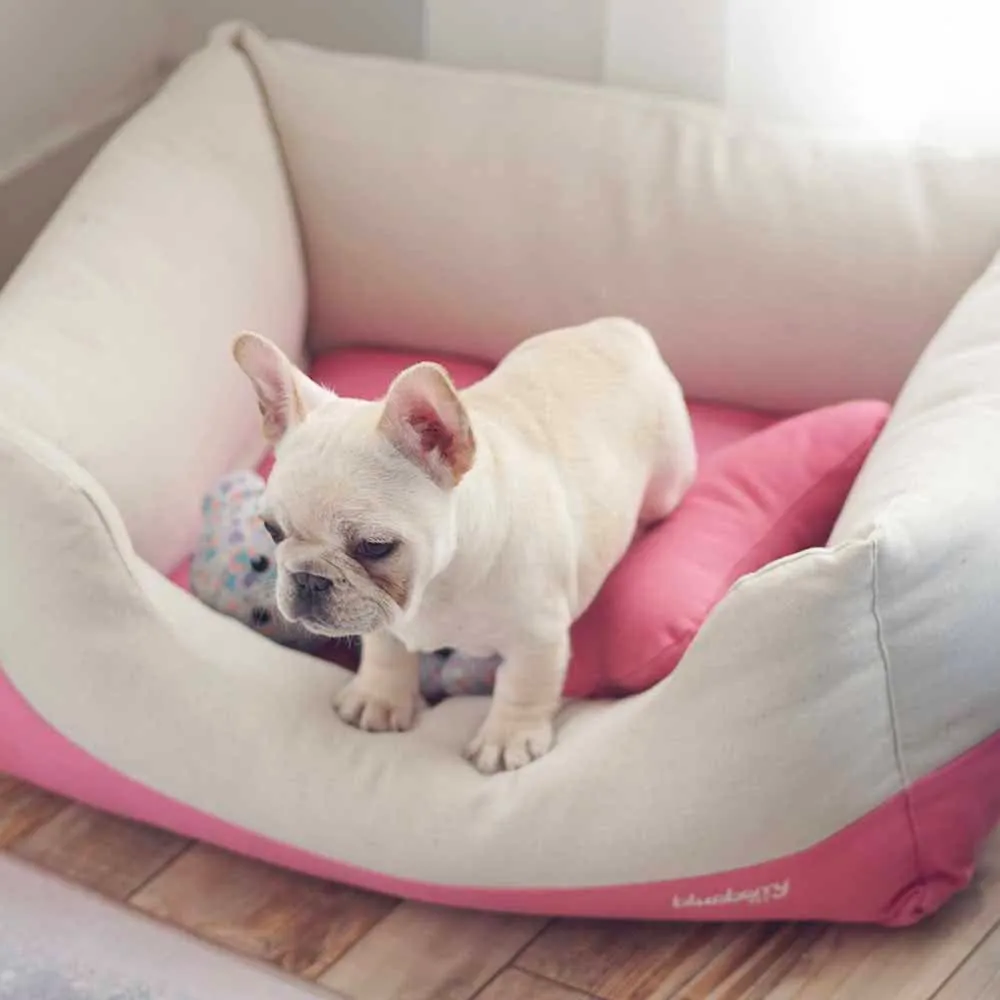 Cover-removable and Washable Color-block Linen Blend Dog Bed & Bed Cover Value Pack
