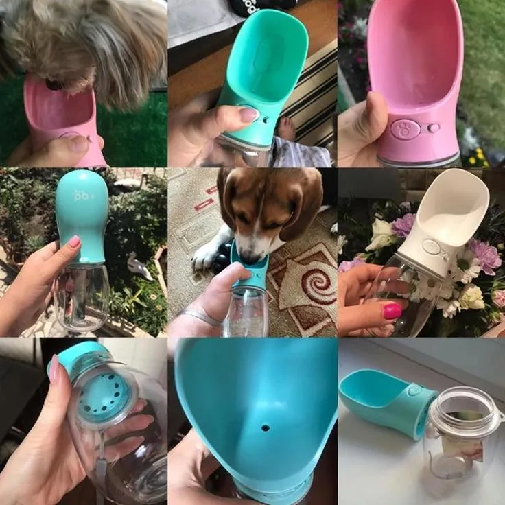 Doggy Bottle