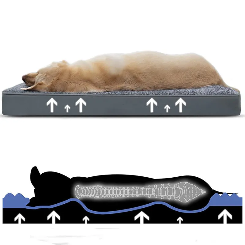 Egg-Crate Foam Dog Bed with Removable Washable Cover-M