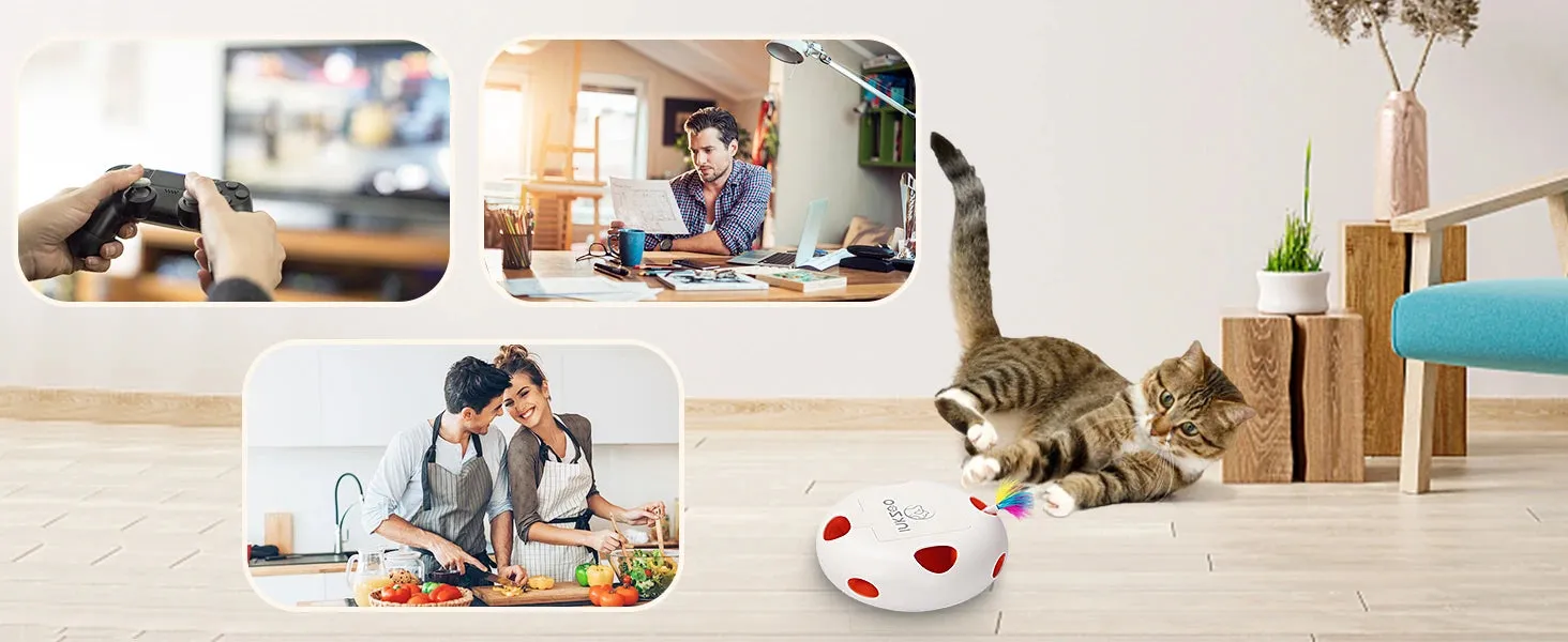 Interactive Cat Toy with Smart Feather, Automatic Standby, and Type-C Charging - Ideal for Indoor Cats