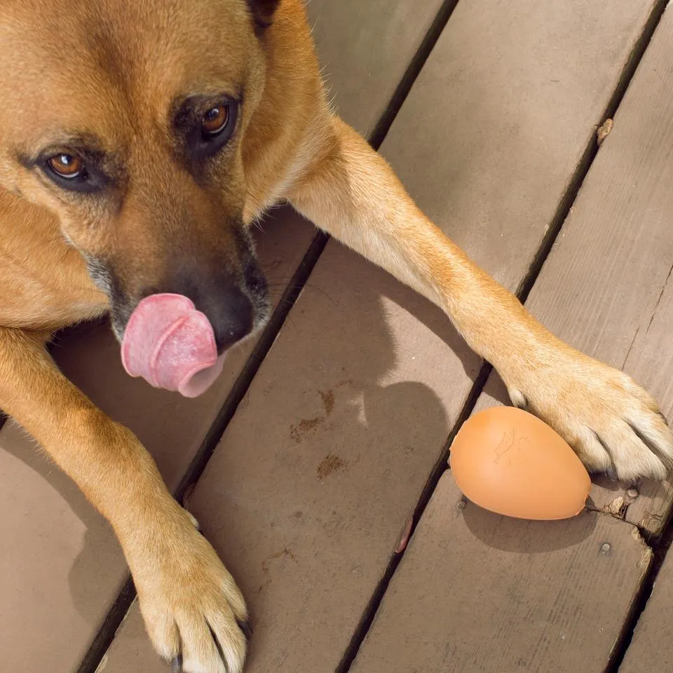 Kikkerland - Bouncy Egg Treat Ball