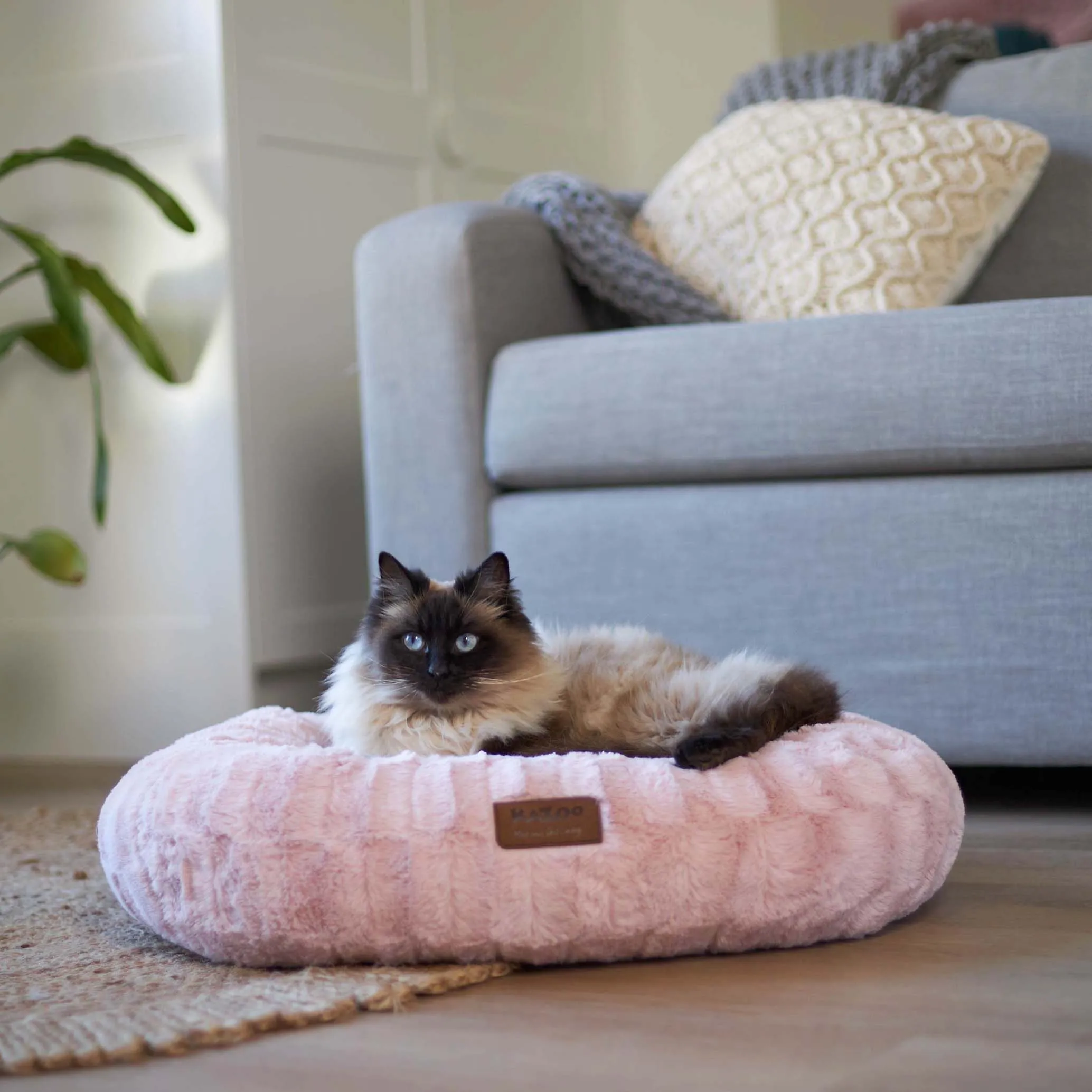 Kitty Loop Bed - Seafoam