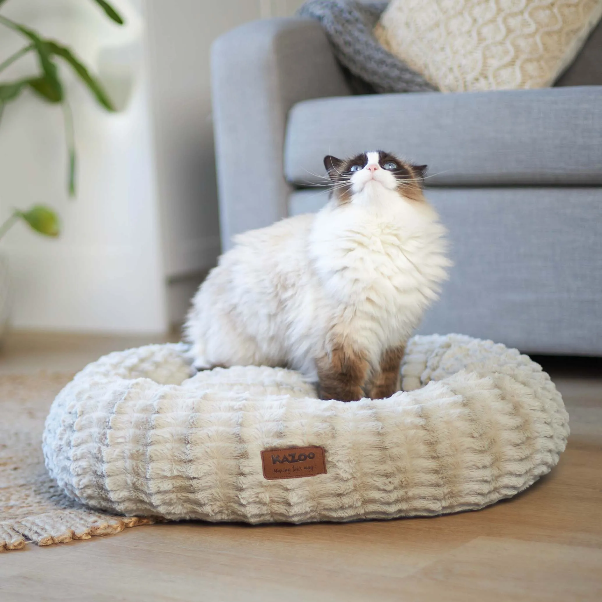 Kitty Loop Bed - Seafoam