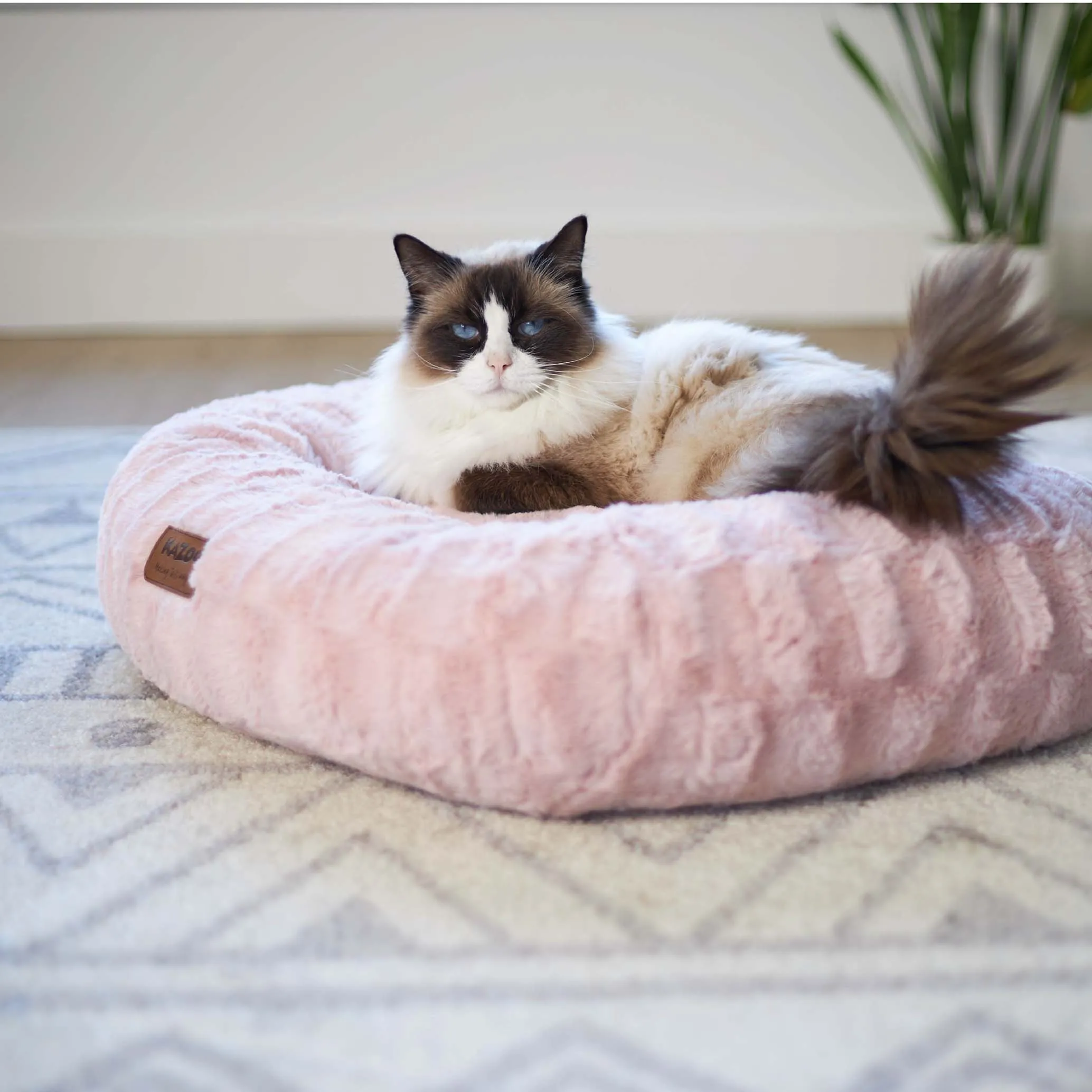 Kitty Loop Bed - Seafoam