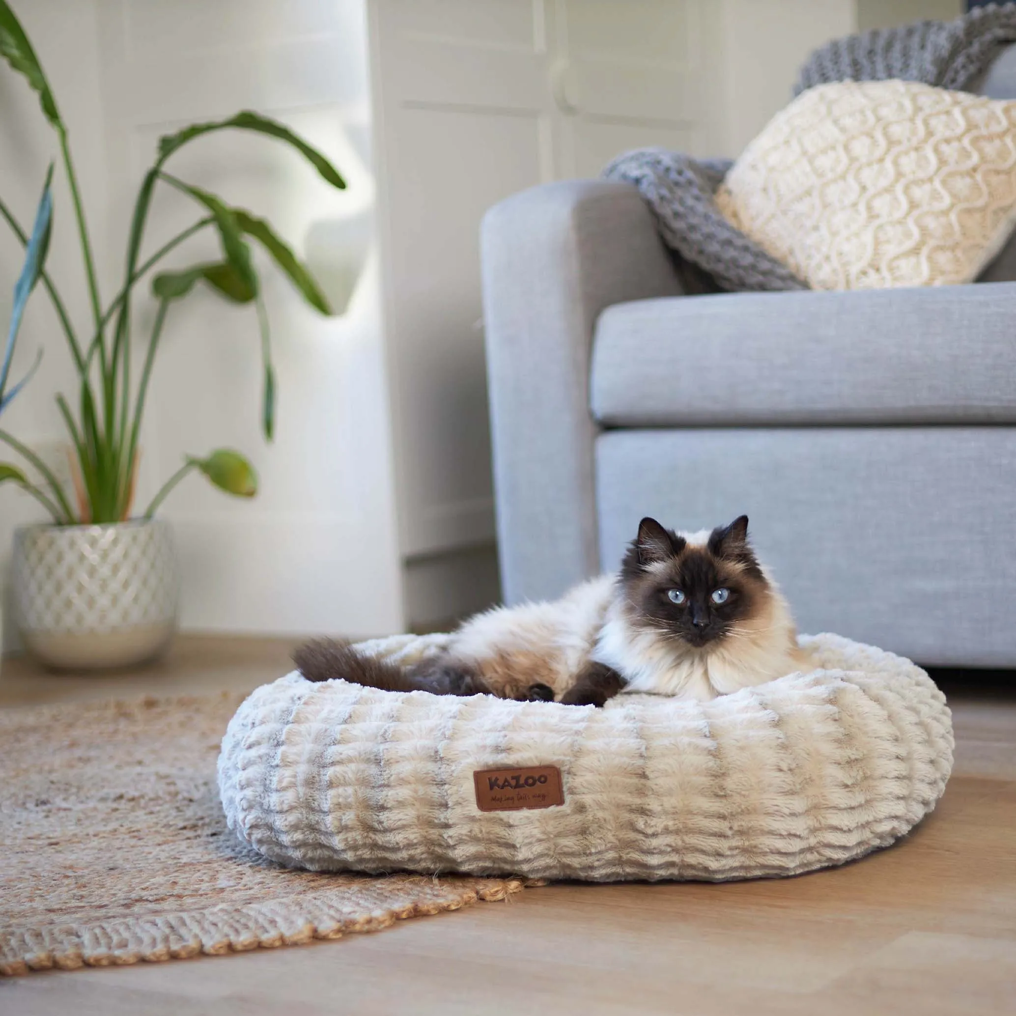 Kitty Loop Bed - Seafoam