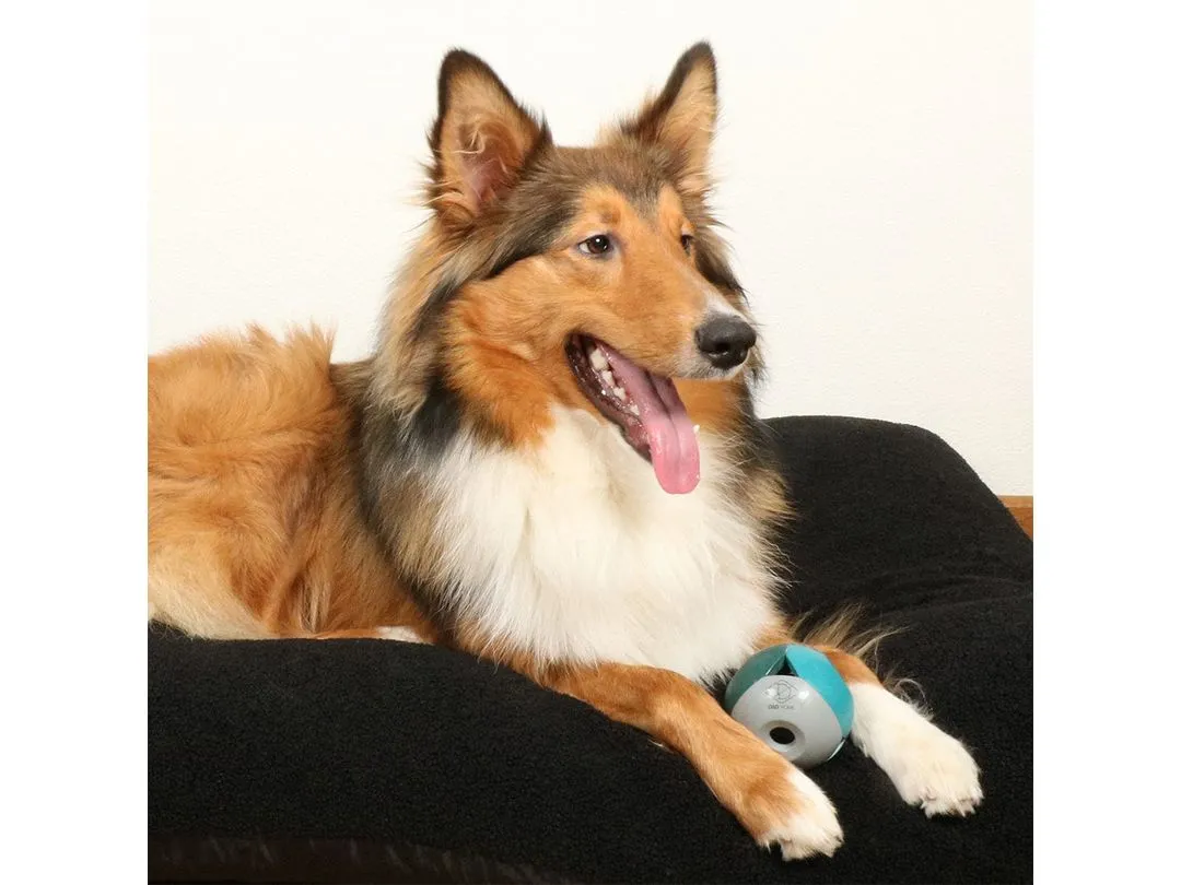 Luca Lagoon dog toy 8x8x8cm blue