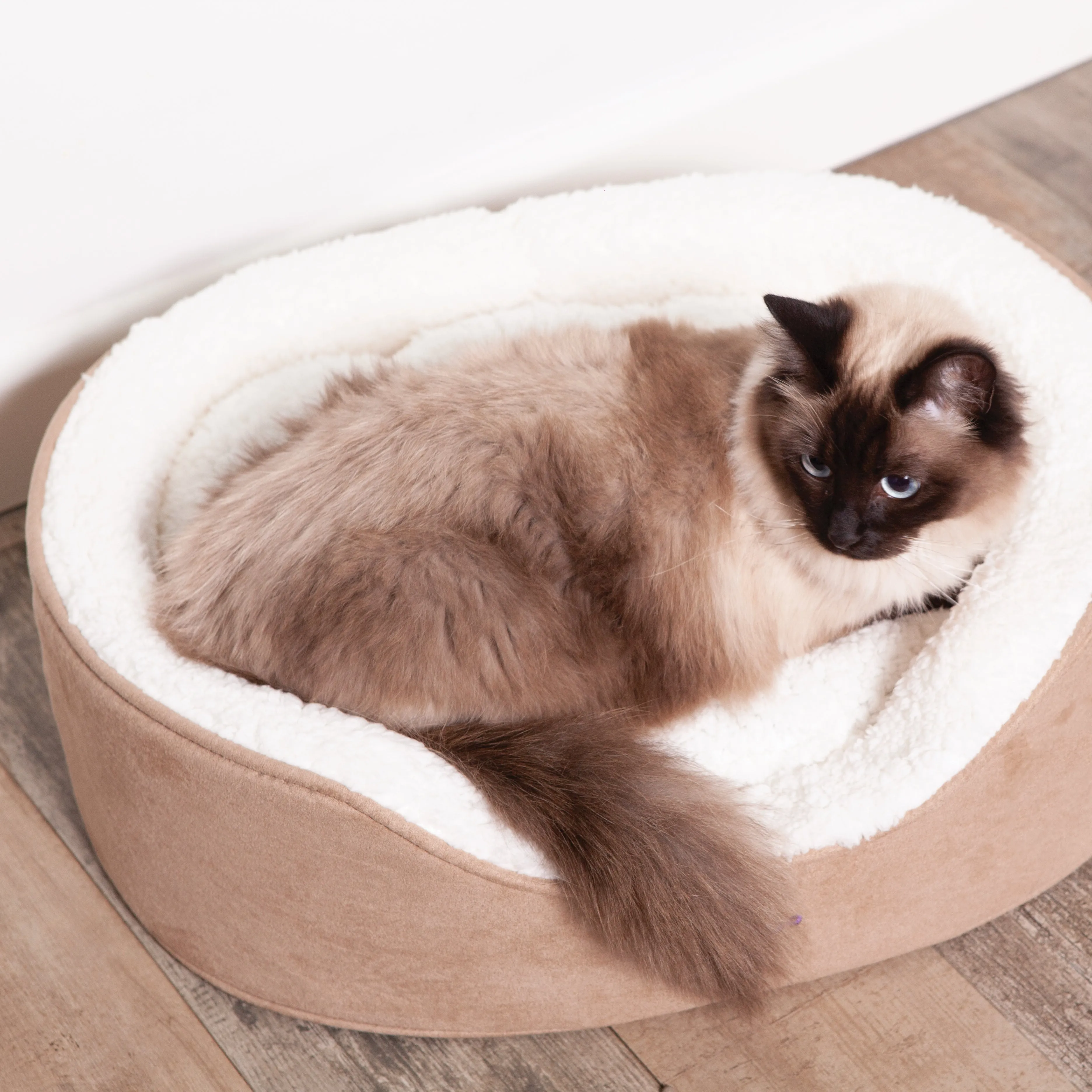 Manhattan Bed - Coffee & White - Cat