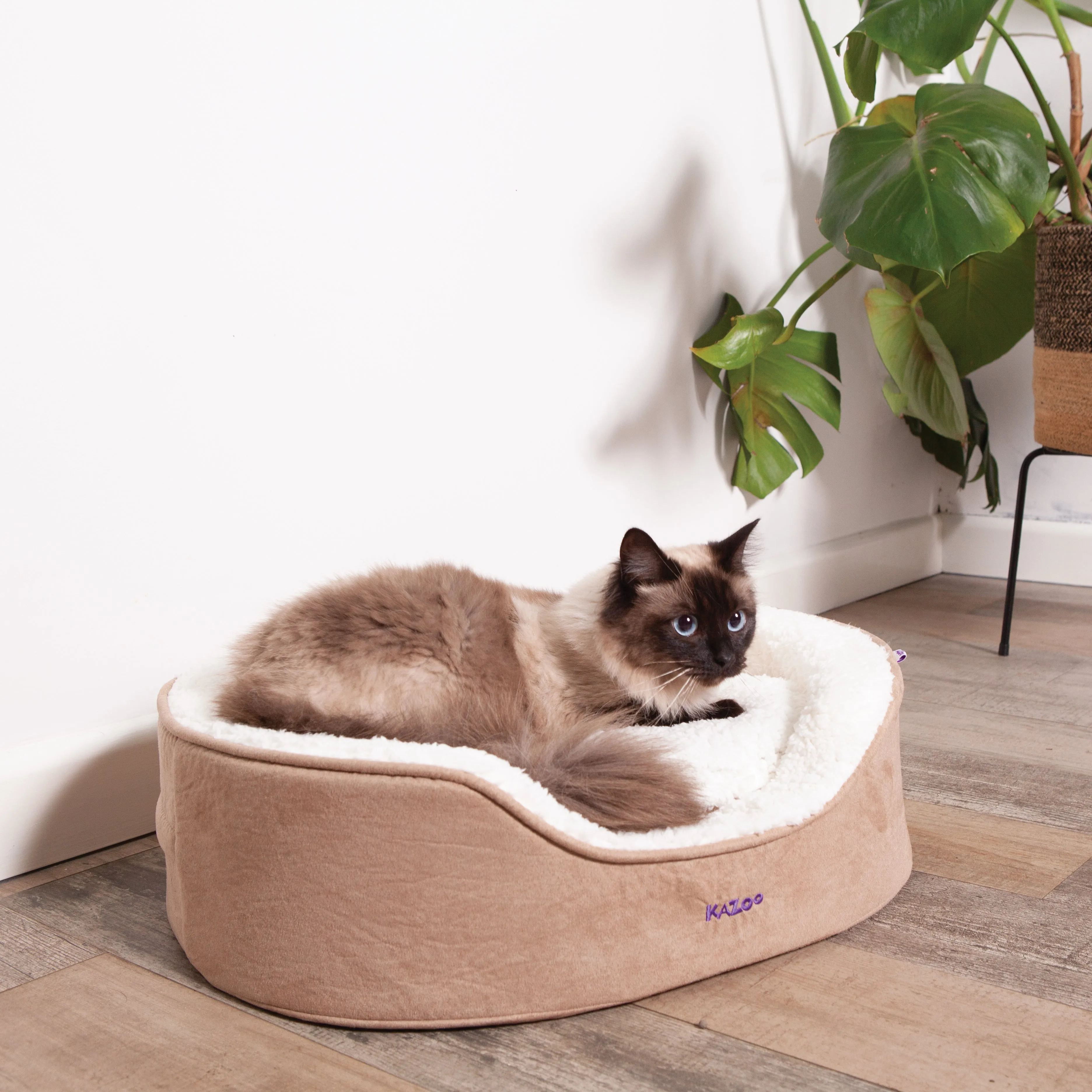Manhattan Bed - Coffee & White - Cat