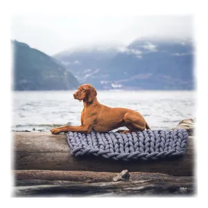 PAWS ASIA AliExpress Best Sell Cotton Tube Hand Woven Washable Round Comfy Soft Foldable Dog Beds Cat