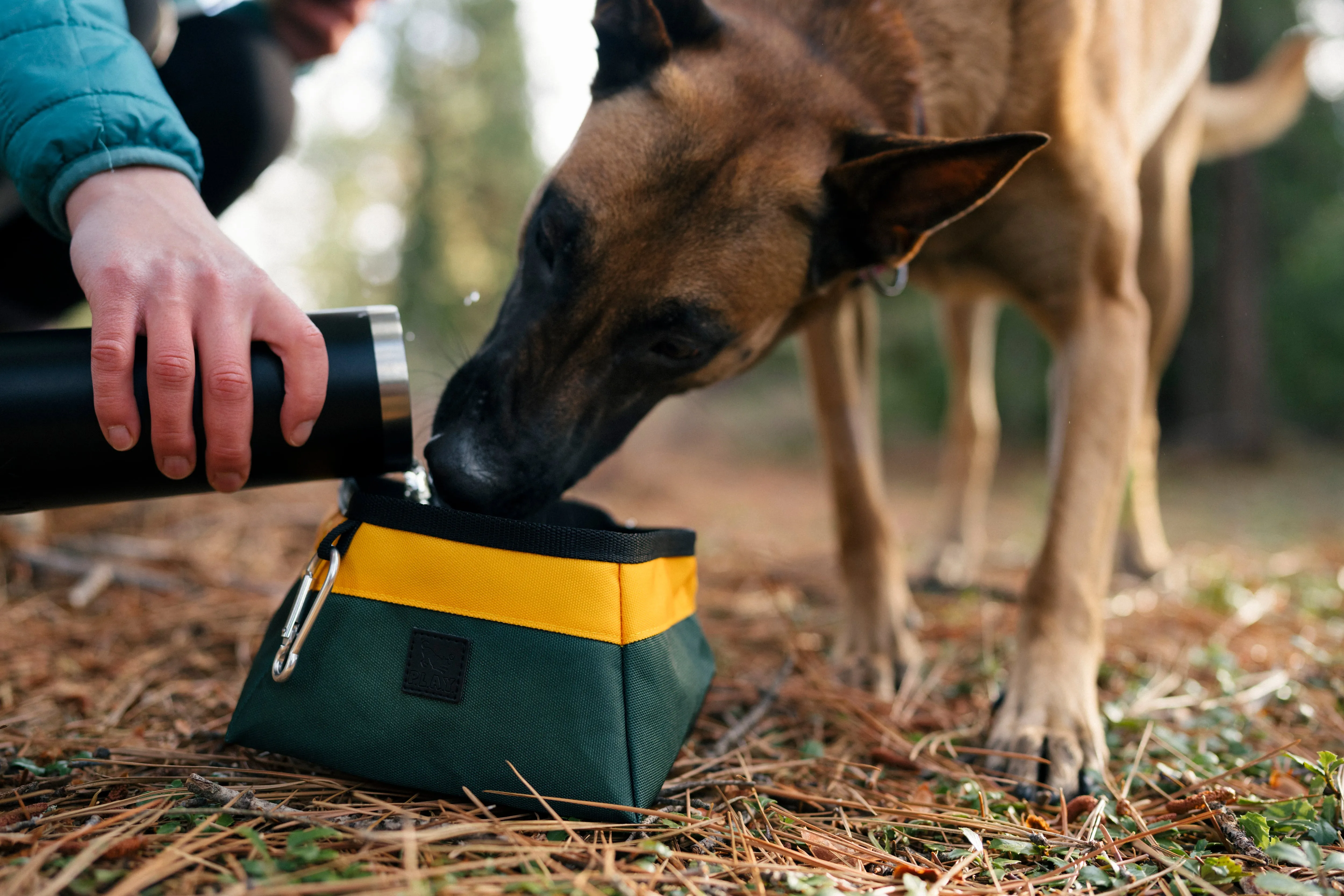 P.L.A.Y. Landscape Dog Travel Bowl