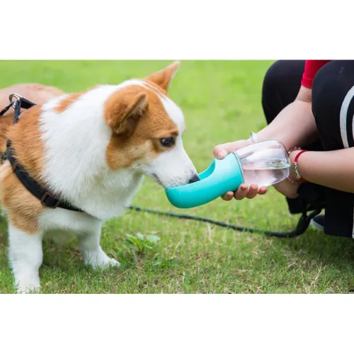 Portable Drinking Bottle