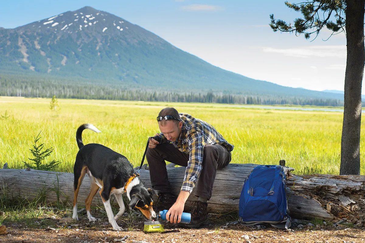 Quencher™ - Portable Dog Bowl (Forest Green)