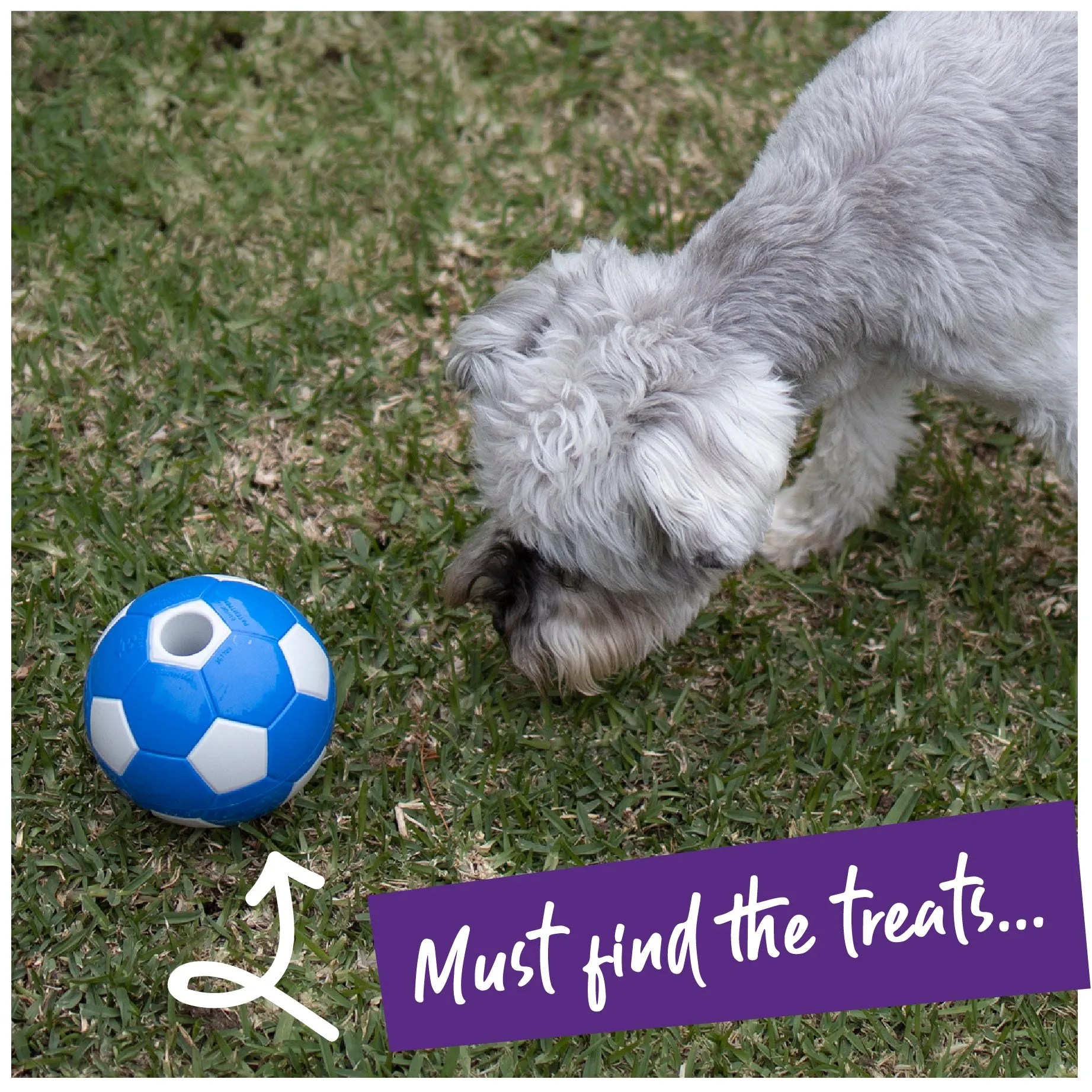 Soccer Treat Dog Ball