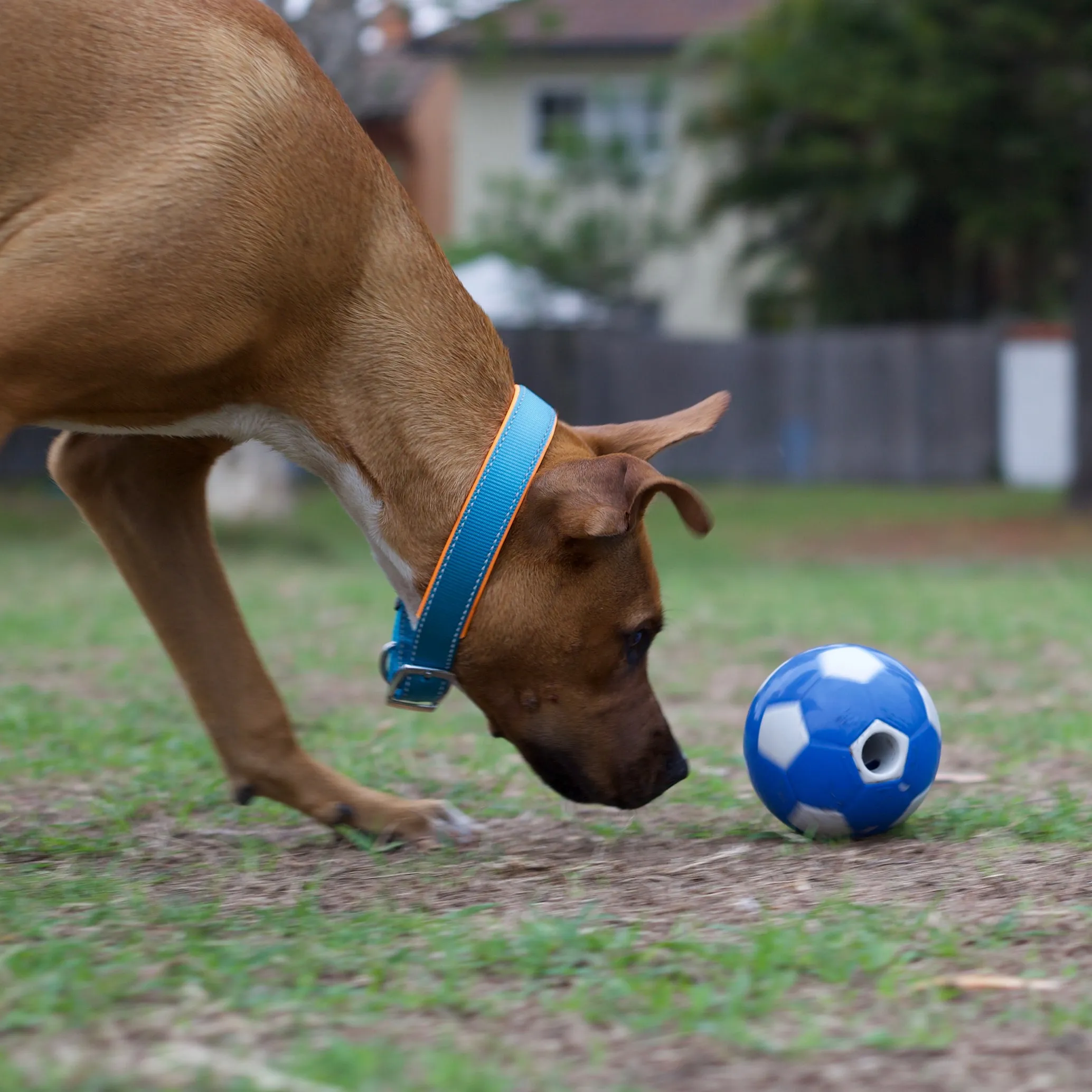 Soccer Treat Dog Ball
