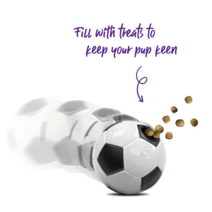 Soccer Treat Dog Ball
