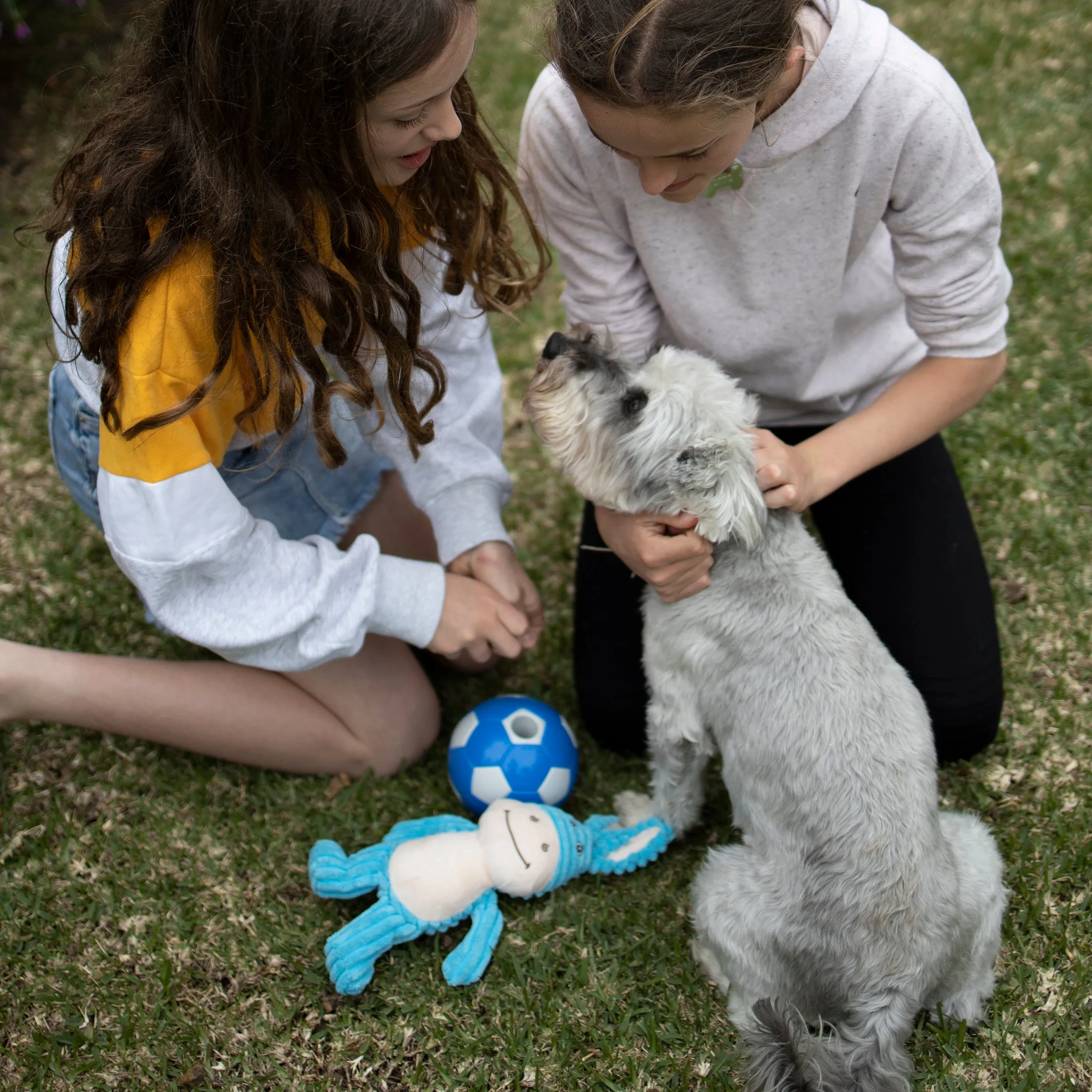 Soccer Treat Dog Ball