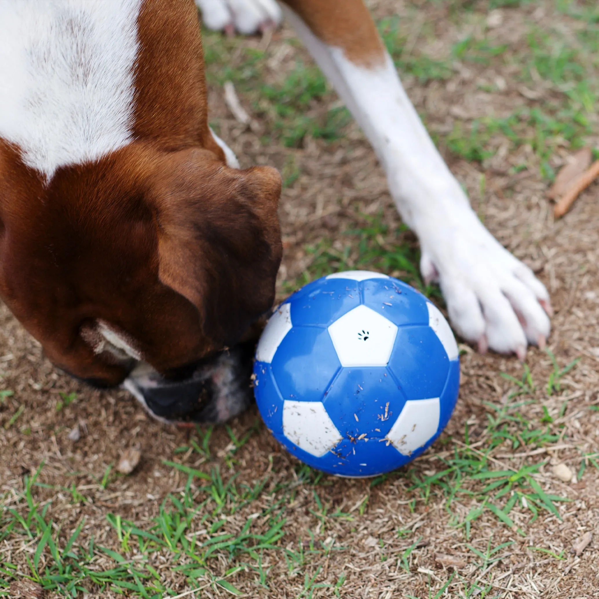 Soccer Treat Dog Ball