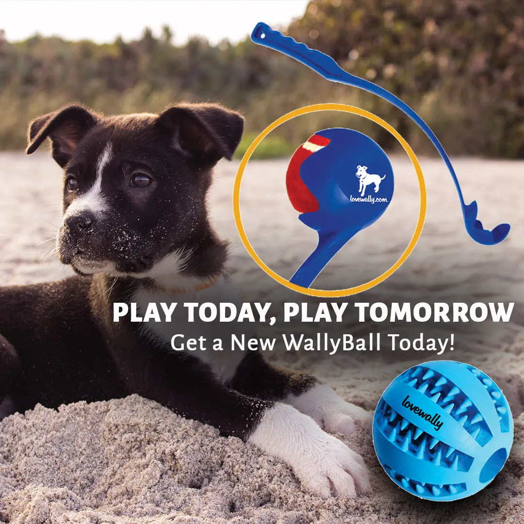 Wally Ball Launcher Dog Toy 19.5” LoveWally Fetch & Retrieve