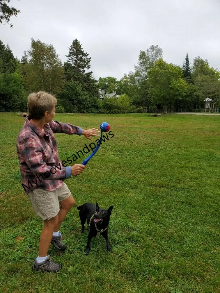 Wally Ball Launcher Dog Toy 19.5” LoveWally Fetch & Retrieve