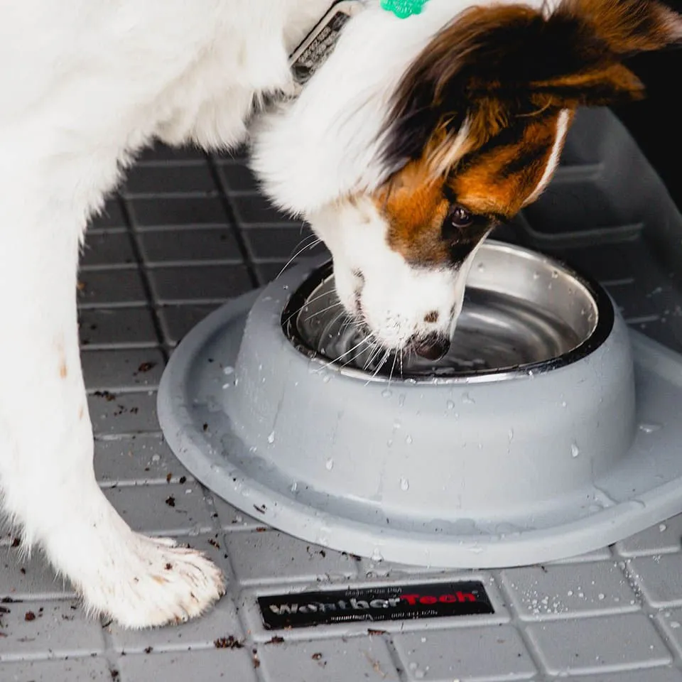 WeatherTech Single Low Pet Feeding System, Stainless Steel