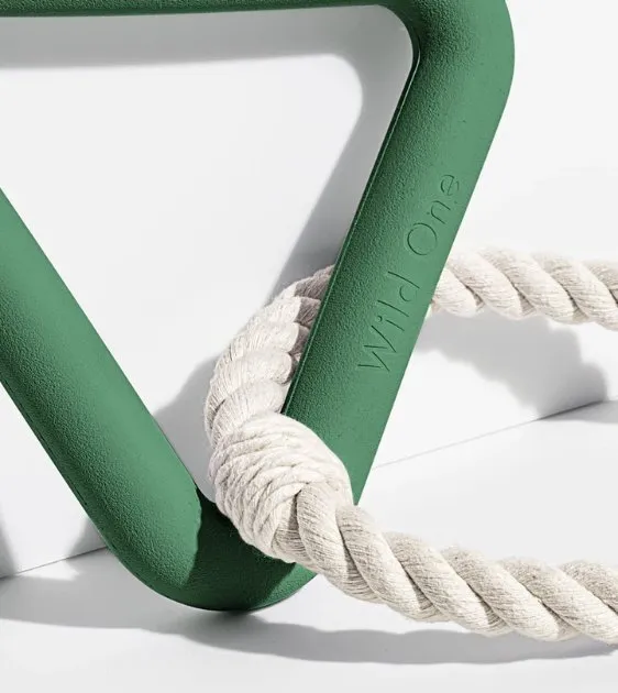 Wild One Triangle Tug Dog Chew Toy (Spruce)