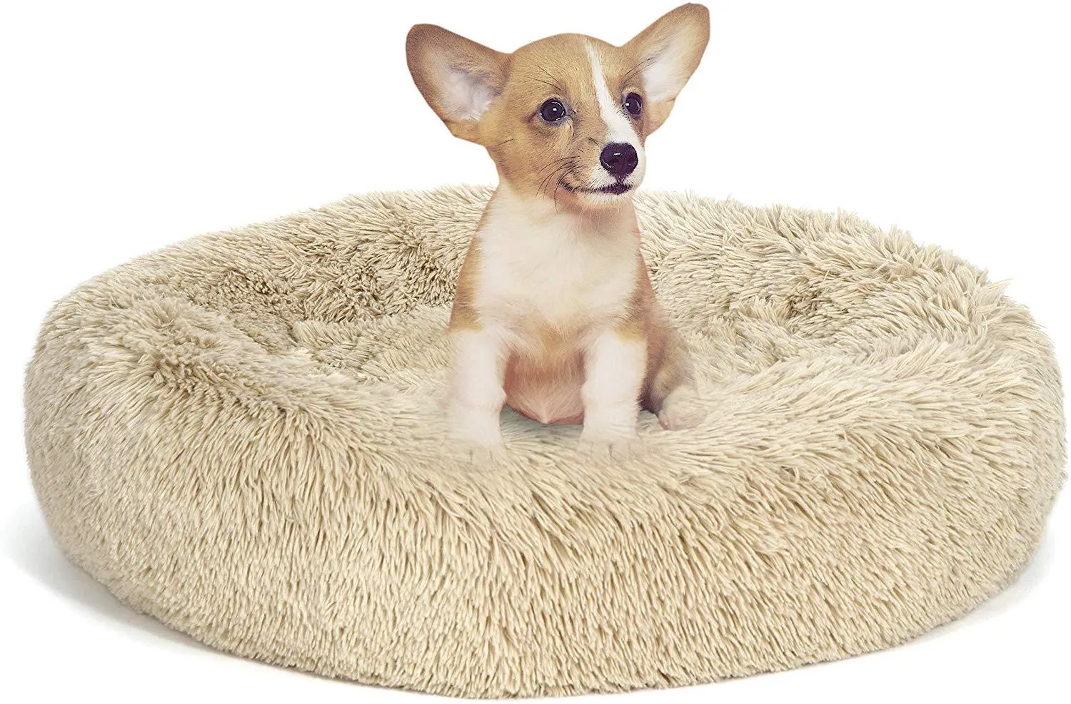 ZENY™ Pet Bed for Dogs & Cats, Anti-Slip, Machine Washable, Ultra Soft Washable Dog and Cat Cushion Bed